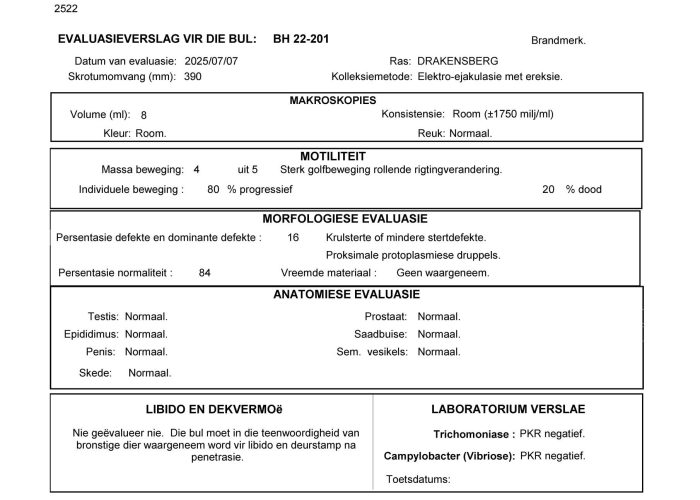 Lot 1 - BH22 201 vrugbaarheid