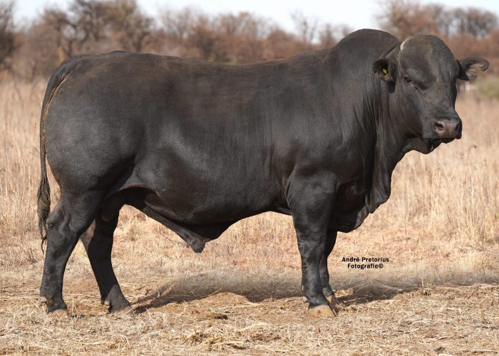 Lot 3 BH20-33