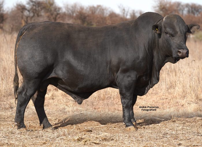 Lot 3 BH20-33