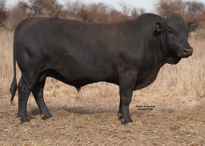 Lot 4 BH20-82 (2)