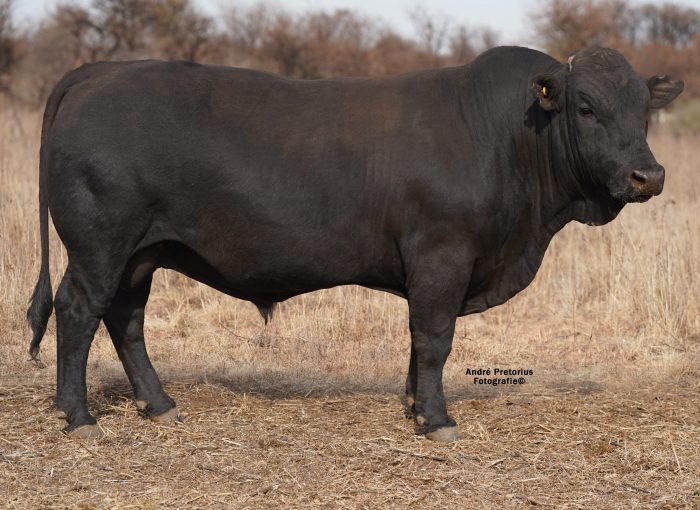 Lot 4 BH20-82 (2)