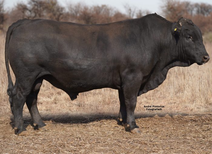 Lot 6 BH20-12